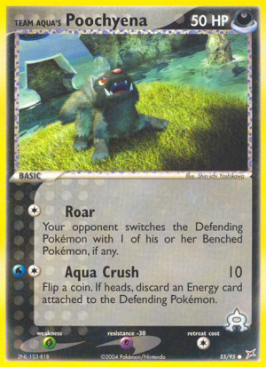 Team Aqua's Poochyena 55/97