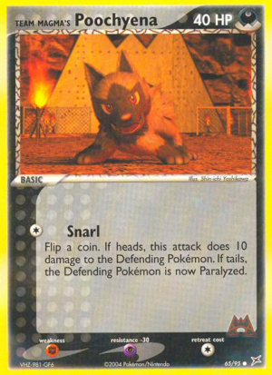 Team Magma's Poochyena 65/97